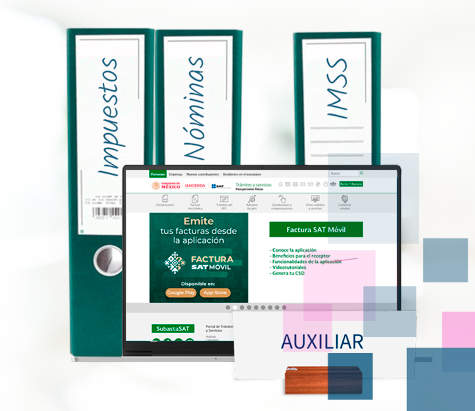 Funciones de un Auxiliar Contable